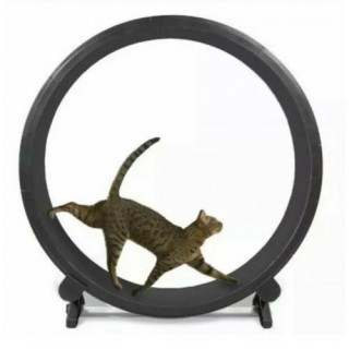 Cat Exercise Wheel – Black – New In Box